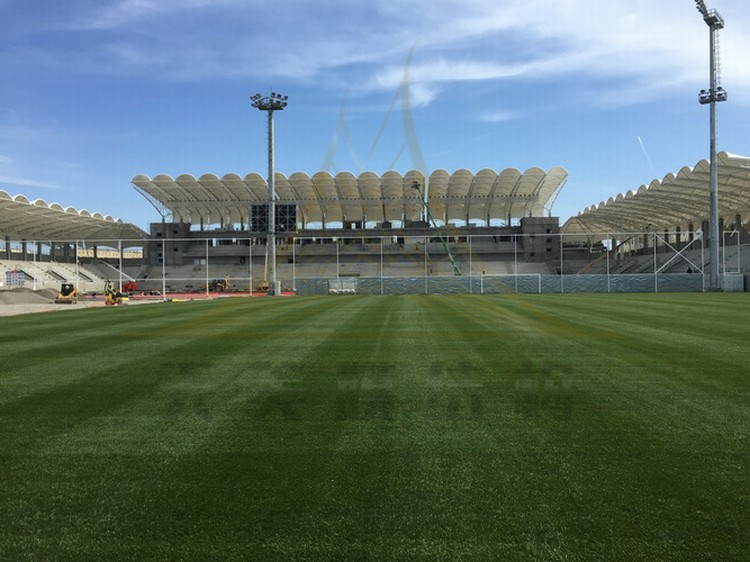 體育看臺膜結(jié)構(gòu)