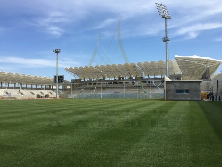 體育看臺膜結(jié)構(gòu)